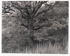 Image description is not available for DU1978.2